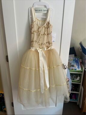 Kids Gold Sequin Tulle Costume Dress - Brand:
